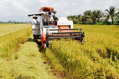 Long An tiên phong xóa quy hoạch “treo”