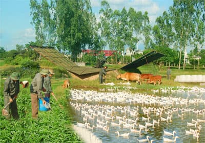 Chăm lo “thực túc, binh cường”