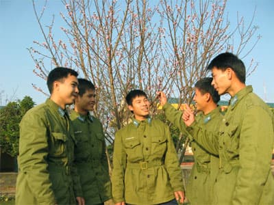 Xuân về bên “cánh sóng”