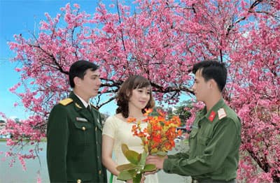 "Trời... mai anh đào!"