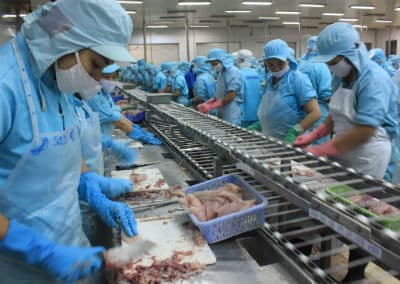 Hướng đi mới cho ngành sản xuất, tiêu thụ cá tra ĐBSCL