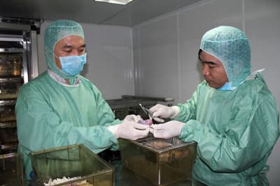 Miệt mài xây “thương hiệu” mô hình bệnh lý