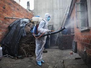 Số ca nhiễm do virus cúm H7N9 ở Trung Quốc tăng
