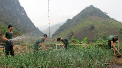 Hồi sinh vùng “đất chết”