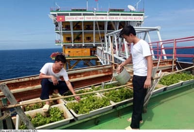 Lo cho mình cũng là để được giúp đỡ nhân dân