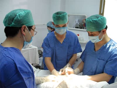 Hy vọng mới cho những cặp vợ chồng vô sinh