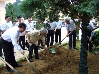 Tổng Bí thư Nguyễn Phú Trọng: Bảo vệ rừng là bảo vệ Tổ quốc và hạnh phúc của nhân dân