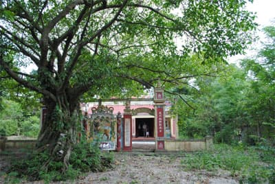 Tiếng vọng từ Trung Sơn