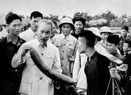 Thiêng liêng hai tiếng "đồng bào"