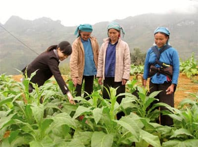 Nhiều thành công, nhưng không ít khó khăn