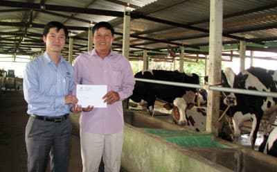 Vinamilk: Hỗ trợ người chăn nuôi bò sữa hơn 18 tỷ đồng vui Tết