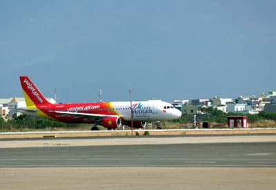 Hủy 3 chuyến bay do chim trời va vào động cơ