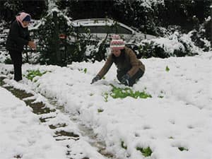 Bắc Bộ: Vùng núi cao có thể tiếp tục có băng giá