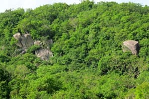Tìm thông tin về khu mộ ở bản Khăm-kẹo, huyện Át-xa-păn-thong (Lào)