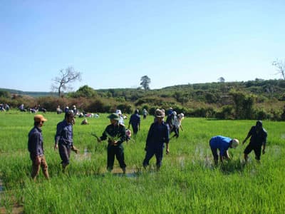 Công  ty 72: Đầu tư 11 tỷ đồng giúp dân phát triển kinh tế