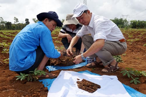 Quảng Trị: 4 hài cốt liệt sĩ vừa được cất bốc ở xã Gio An, huyện Gio Linh