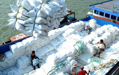Xuất khẩu gạo trong 7 tháng đạt 3,3 triệu tấn