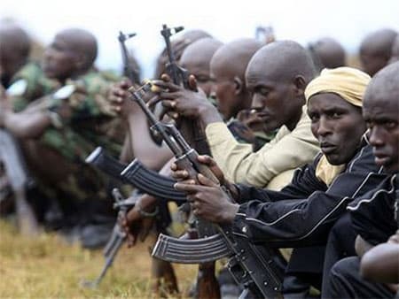 Hội đồng Bảo an LHQ tiếp tục duy trì cấm vận vũ khí với Somalia, Eritrea