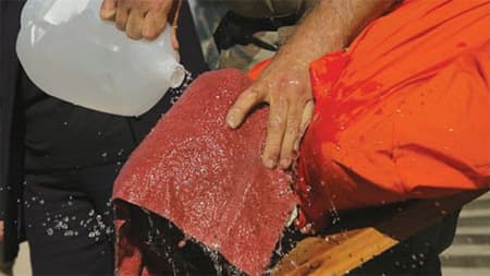 Thế giới tuần qua: Vén bức màn bí mật