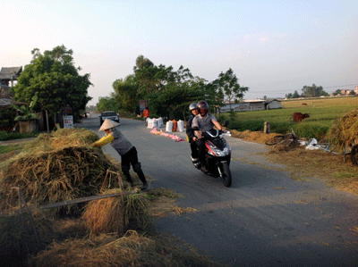Cấm, nhưng vẫn… phơi