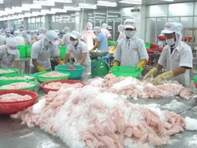 Giá nông sản chủ yếu của thế giới sẽ tăng mạnh vào cuối thập kỷ này