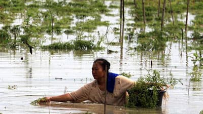 Lũ lụt làm 26 người chết ở Indonesia