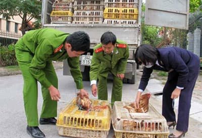 Đình chỉ công tác Phó trạm trưởng Trạm Thú y thành phố Sơn La