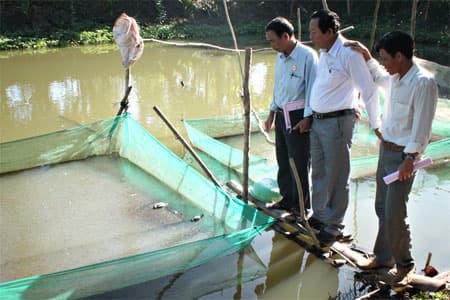 Thực hiện tốt việc ủy thác cho vay tín dụng chính sách
