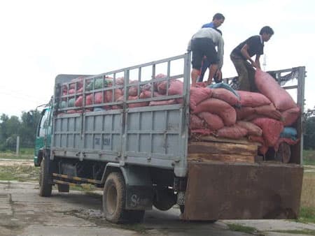 Thu giữ hơn 6m3 gỗ hương