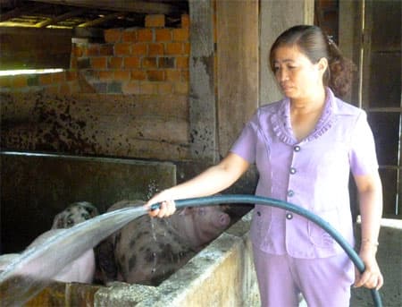 “Học Bác là phải giúp dân hết đói nghèo…”