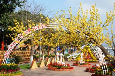 Cả nước tưng bừng đón Xuân mới