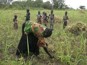 Hơn 4 triệu người dân Nam Sudan có nguy cơ bị đói