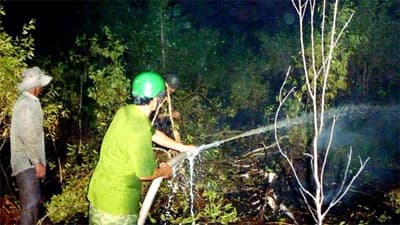 Cà Mau: Hơn 500 người tình nguyện tham gia giữ rừng U Minh Hạ trong mùa khô