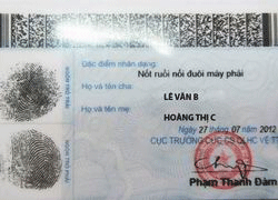 Tạm không triển khai mở rộng Dự án cấp Chứng minh nhân dân mới