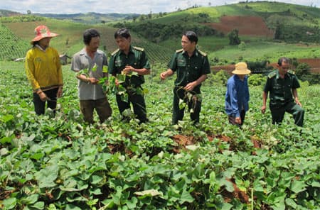 Quảng Trực - Vùng đất ấm tình quân dân