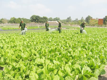 Thực hiện “7 không” để nâng cao đời sống bộ đội