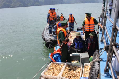 Bắt xuồng cao tốc vận chuyển khoảng 40.000 con gà nhập lậu