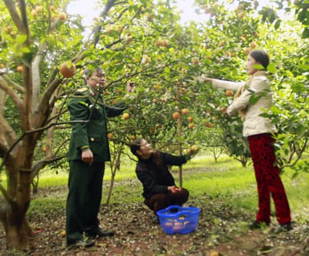 Làng quân nhân triệu phú đất Cao Phong