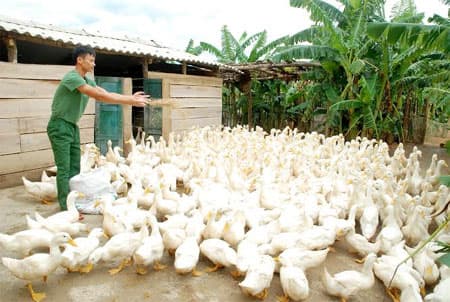 Trung đoàn 19 - điển hình làm theo lời Bác