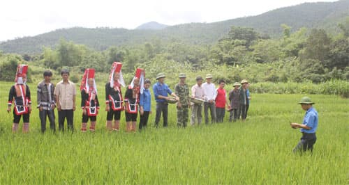 Ba đội trưởng bám bản ở Nà Sa