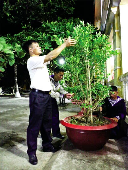Trường Sa Đông có cây quất Tết