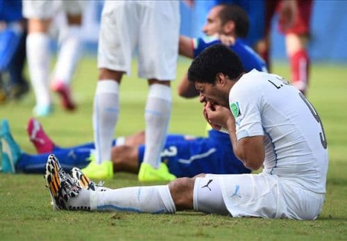 FIFA điều tra vụ Suarez "cắn người"