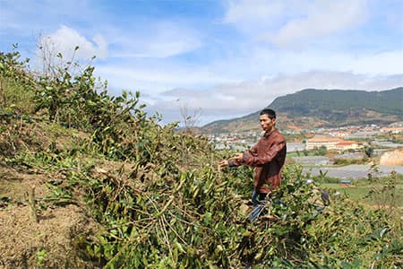 Lâm Đồng: Một doanh nghiệp ngang nhiên phá hoại tài sản của dân