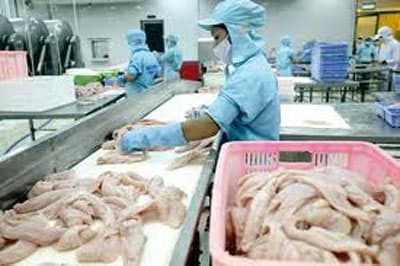 Mỹ ra phán quyết bất lợi cho cá tra, ba sa Việt Nam