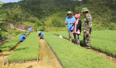 Sơ kết phong trào thi đua “Quân đội chung sức xây dựng nông thôn mới”