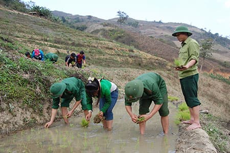 Xuân ấm Pù Nhi