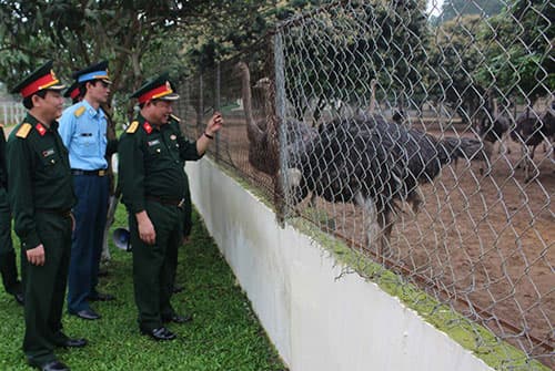 Tham quan, học tập mô hình tăng gia sản xuất tập trung của Trung đoàn 102