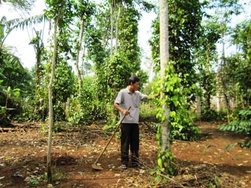 Đại tướng đã làm “hồi sinh” cuộc đời tôi