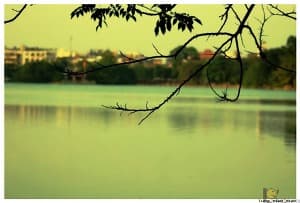 Bắc Bộ trời ấm hơn, vùng ven biển Nam Bộ có mưa trái mùa