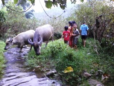 Nguy hiểm rình rập
